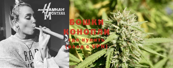трава Арсеньев