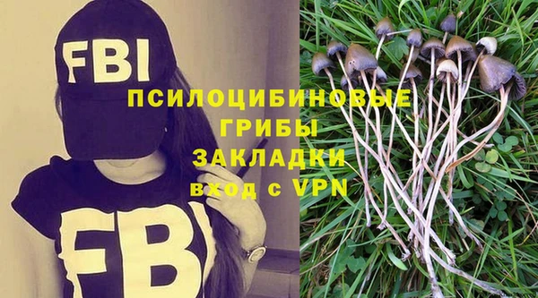 гидропоника Аркадак