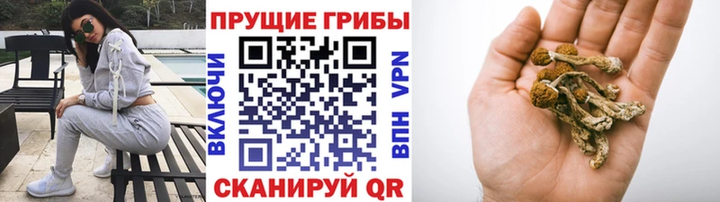 Псилоцибиновые грибы мухоморы hydra онион Камбарка